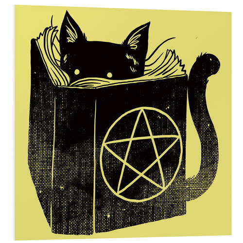 Quadro em PVC Witchcraft Cat