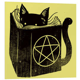 Quadro em PVC Witchcraft Cat