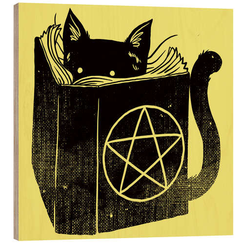 Obraz na drewnie Witchcraft Cat