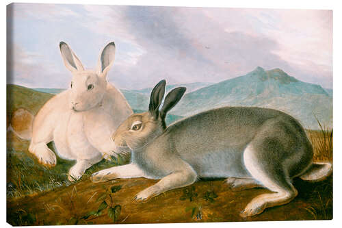 Canvastavla Polar bunnies