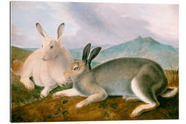 Gallery print Polar bunnies