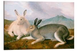 Magnettafel Polarhasen