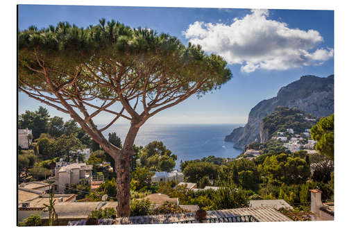 Obraz na aluminium Dream island of Capri in the Gulf of Naples (Italy)