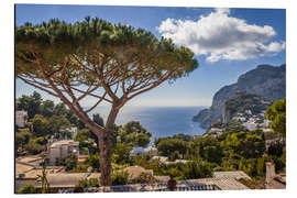 Cuadro de aluminio Dream island of Capri in the Gulf of Naples (Italy)