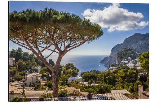 Tableau en plexi-alu Dream island of Capri in the Gulf of Naples (Italy)