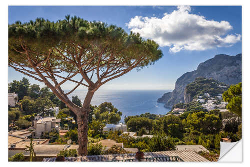 Sisustustarra Dream island of Capri in the Gulf of Naples (Italy)