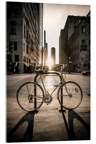 Acrylic print The Bike, Chicago