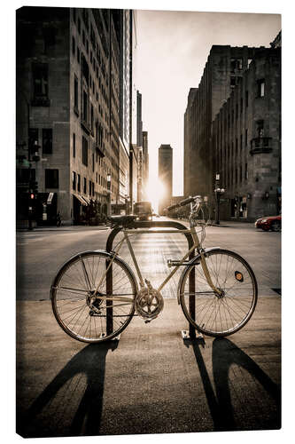 Canvas print The Bike, Chicago