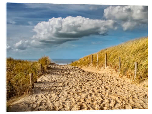 Acrylglas print Through the dunes to the beach