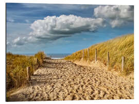 Aluminium print Through the dunes to the beach