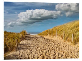 Tableau en PVC Through the dunes to the beach