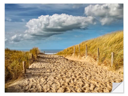 Selvklebende plakat Through the dunes to the beach