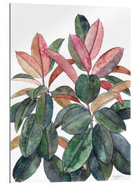 Gallery print Rubber Plant