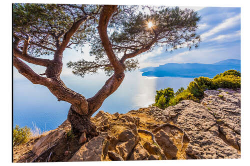 Aluminium print Corniche des Cretes near La Ciotat
