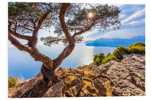 Foam board print Corniche des Cretes near La Ciotat