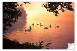 Vinilo para la pared Swan lake