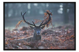 Gerahmter Kunstdruck Hirsch im Reisig