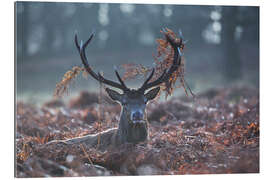 Galleriprint Deer stag in the brushwood