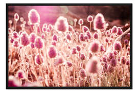 Gerahmter Kunstdruck Gräser im Sonnenlicht