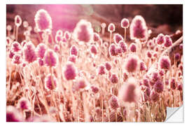 Wall sticker Grasses in Sunlight