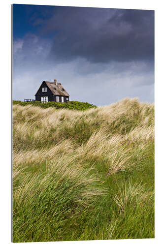 Gallery print Cottage in the dunes during storm