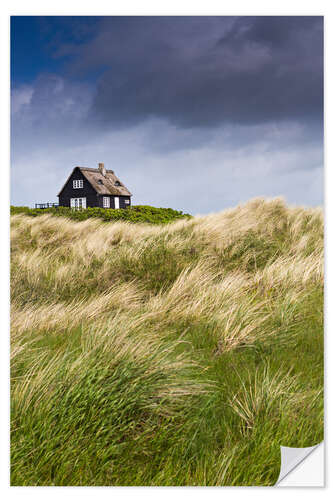 Vinilo para la pared Cottage in the dunes during storm