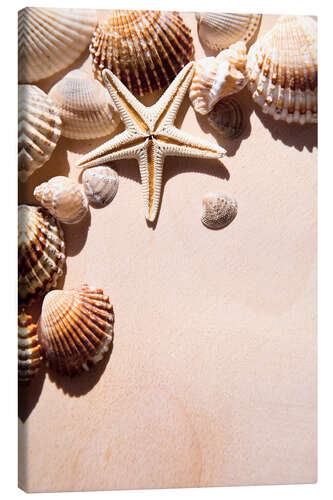 Leinwandbild Seestern und Muscheln II