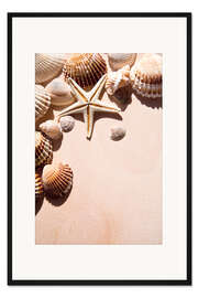 Gerahmter Kunstdruck Seestern und Muscheln II