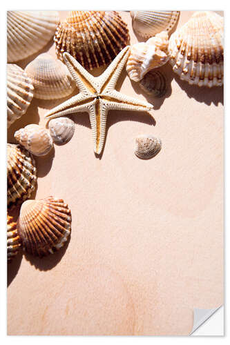 Wall sticker Starfish and Shells II