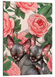 Aluminium print Sphynx kitten with roses