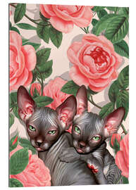 Galleritryk Sphynx kitten with roses