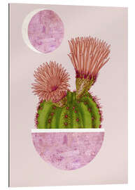 Gallery print summer cactus