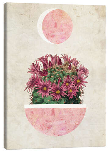 Canvas print sunshine cactus