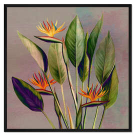 Gerahmter Kunstdruck Flamingo Blume - Strelitzie