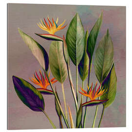 Tableau en plexi-alu Fleur de flamant rose - Strelitzia