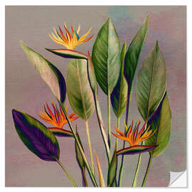 Wall sticker Flamingo flower - strelitzia