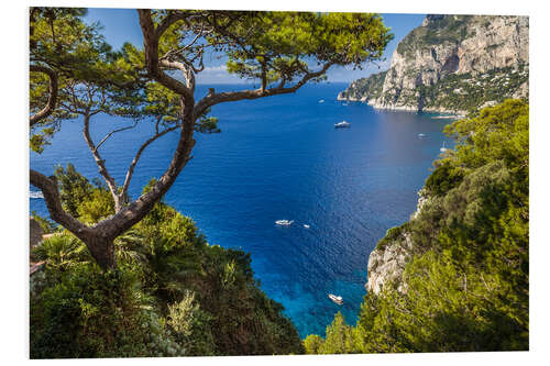 Foam board print Wonderful sea view in Capri (Italy)