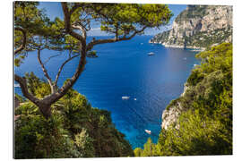 Gallery print Wonderful sea view in Capri (Italy)