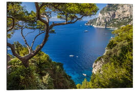 Magnettafel Traumhafter Meerblick in Capri (Italien)