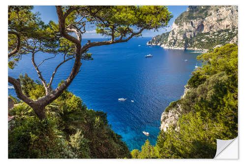 Naklejka na ścianę Wonderful sea view in Capri (Italy)