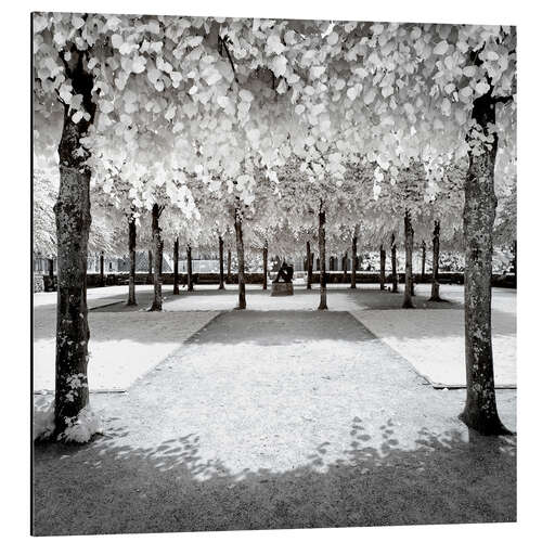 Aluminium print Infrared Frozen Forest