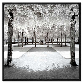 Gerahmter Kunstdruck Infrarot - Gefrorener Wald