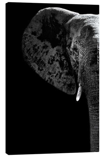 Canvas print Portrait of an elephant