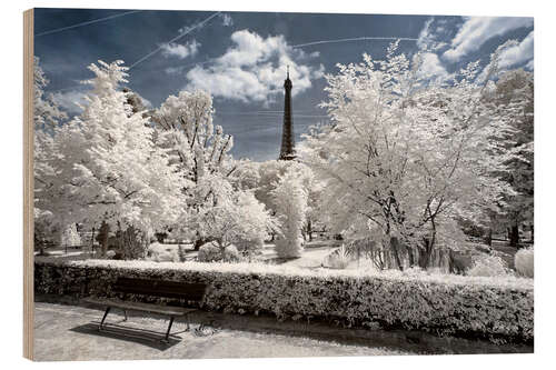 Trebilde Infrarød - Frost i Paris