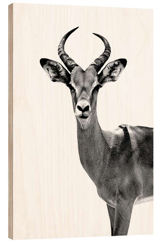 Hout print Antelope on white