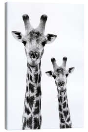 Quadro em tela  Girafa e o seu bebé - Philippe HUGONNARD