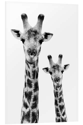 Foam board print Giraffe and Baby