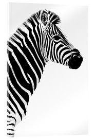 Acrylglasbild  Zebrastute im Profil - Philippe HUGONNARD