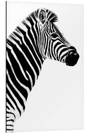 Magnettafel Zebrastute im Profil