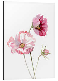 Tableau en aluminium Fleurs de cosmos